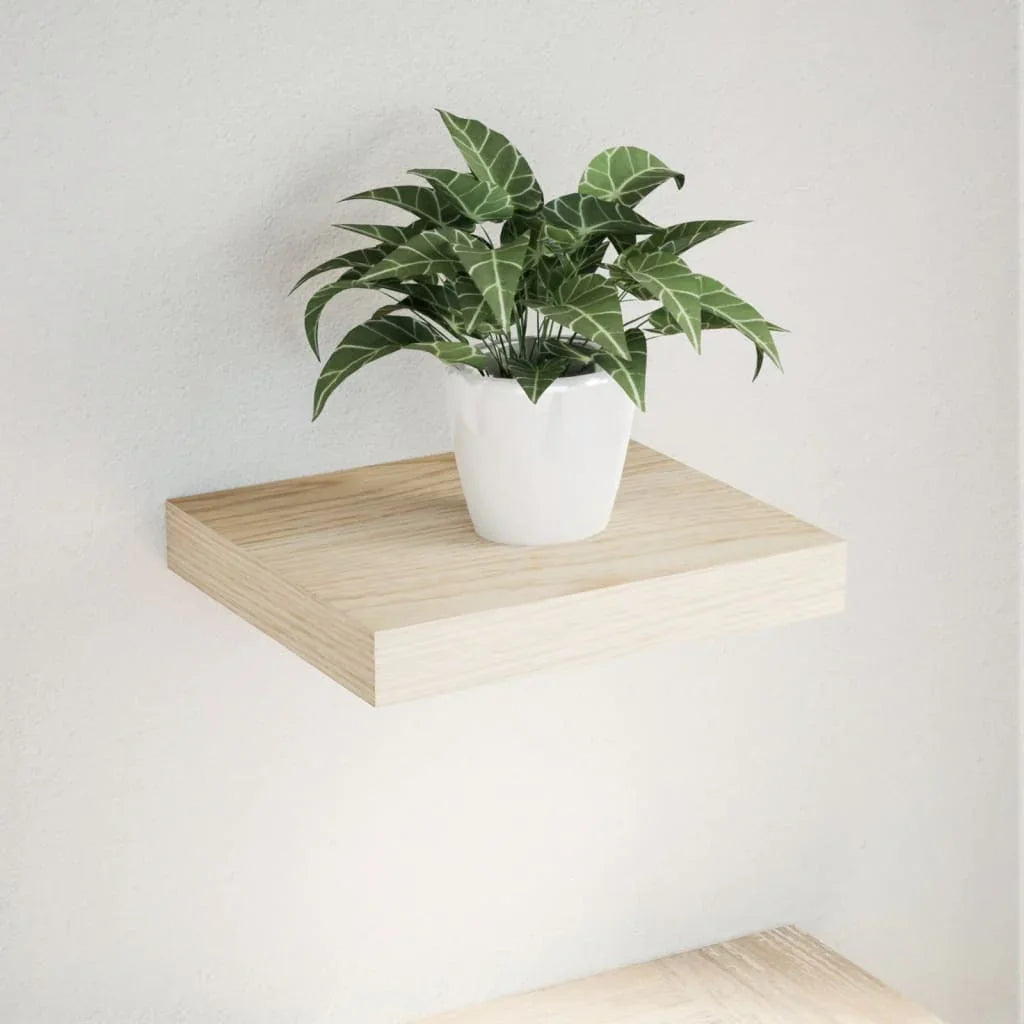Minimalist floating wooden shelf with green potted plant against white wall